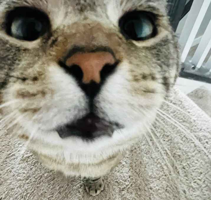 Photo of Oliver