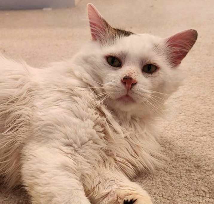 Photo of Titus