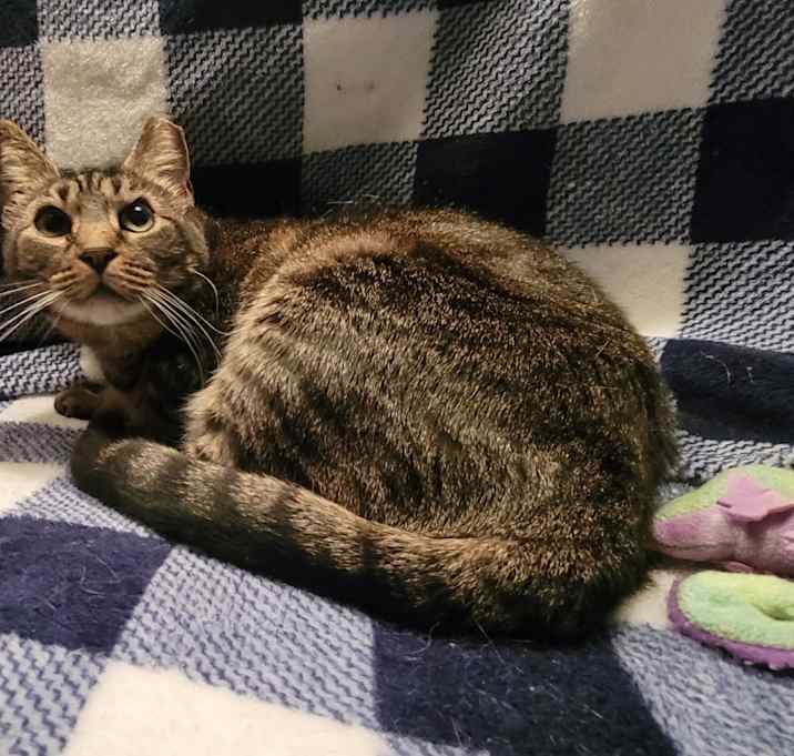 Photo of Whiz Kid