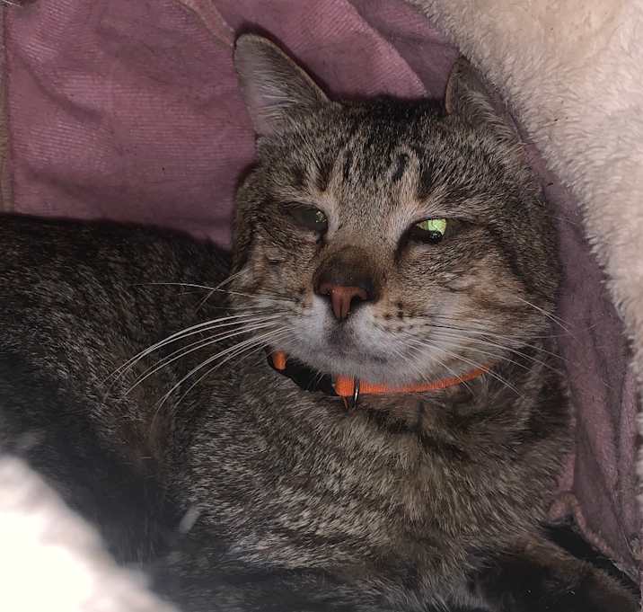 Photo of Charlie
