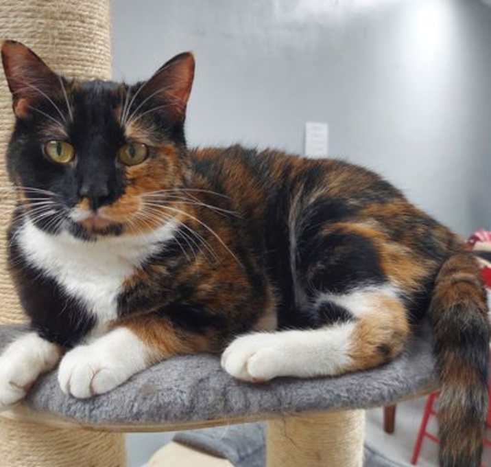 Photo of Birdie