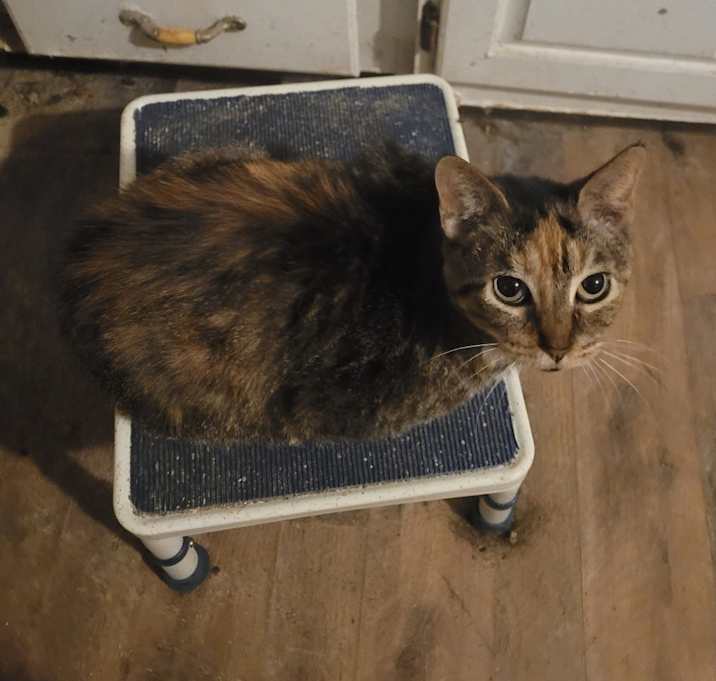 Photo of Fiona