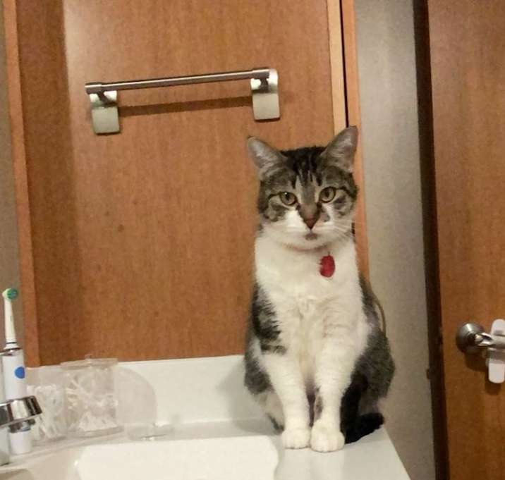 Photo of Luna