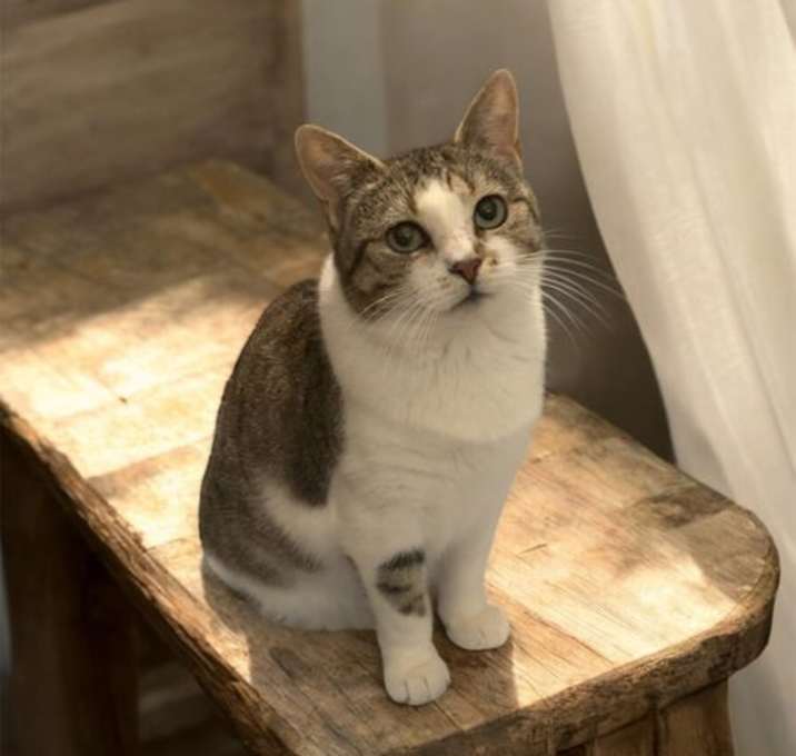 Photo of Sara