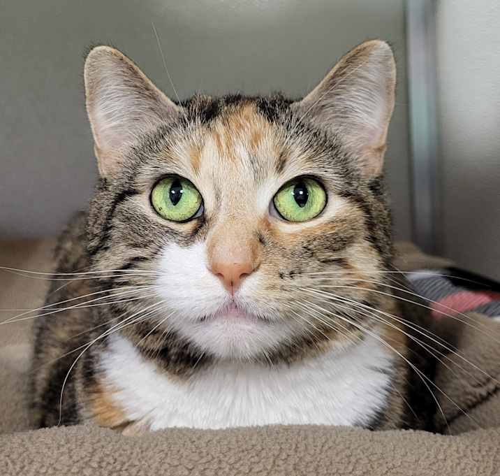Photo of Bootsie