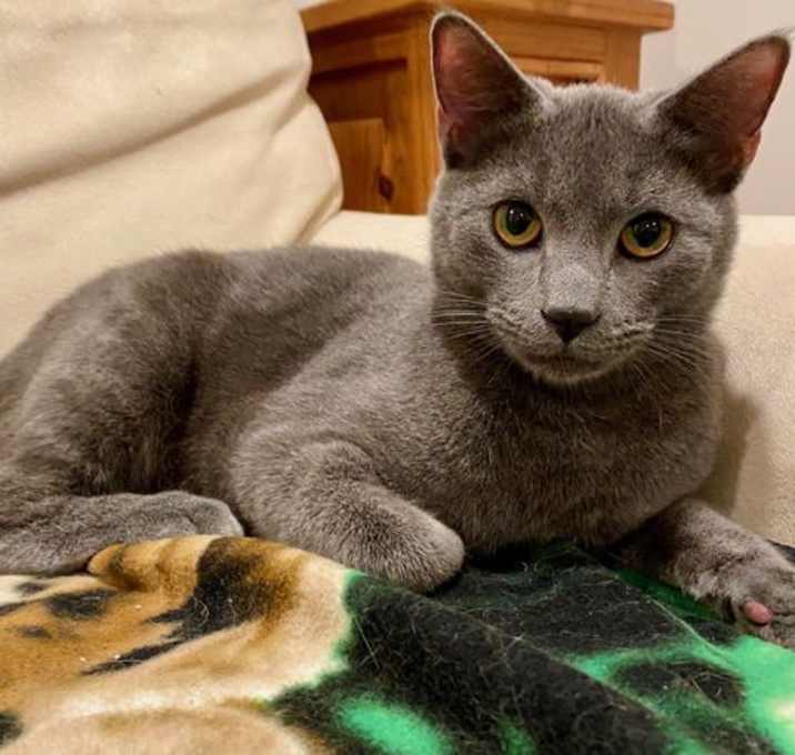 Photo of Thomas