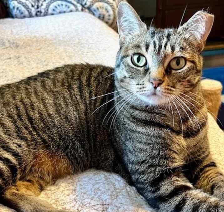 Photo of Freya