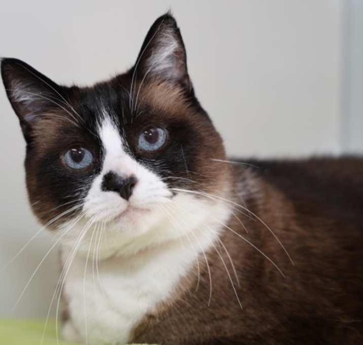 Photo of Lilly