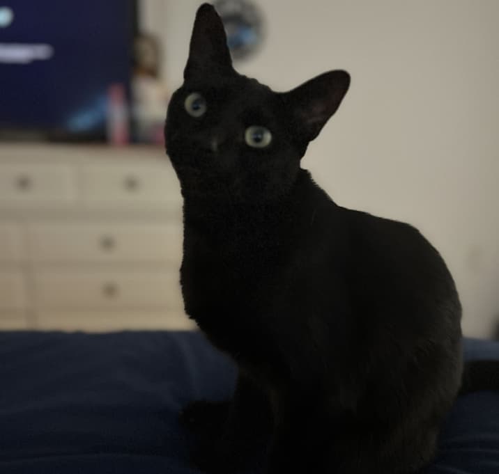 Photo of Akasha