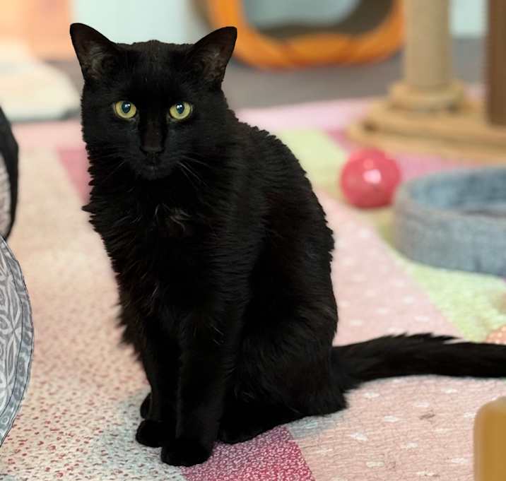 Photo of Bert