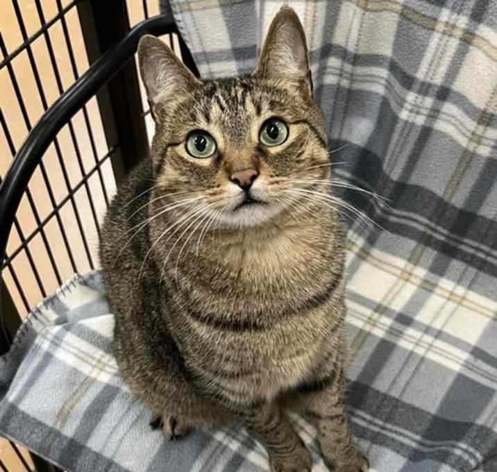 Photo of Indy