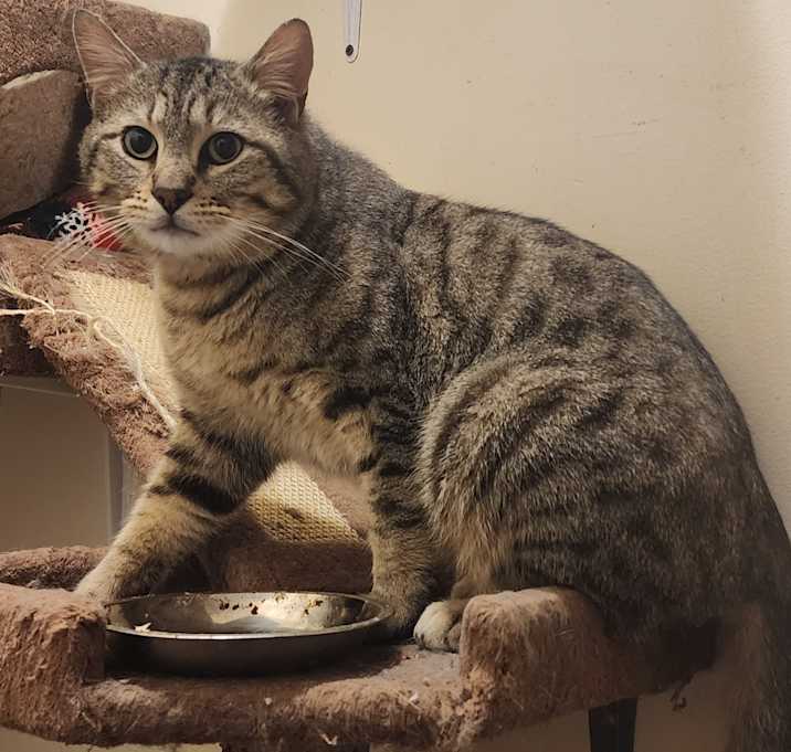 Photo of Wiggle