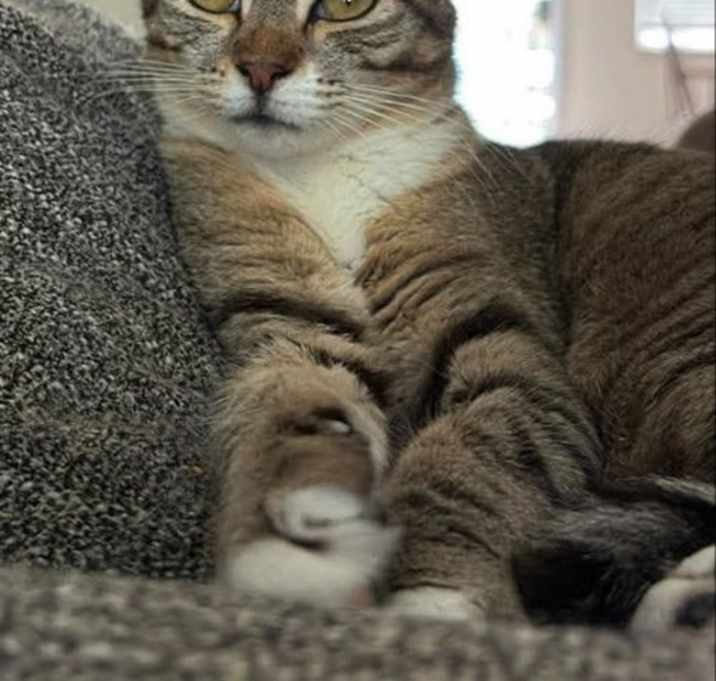 Photo of Gretel