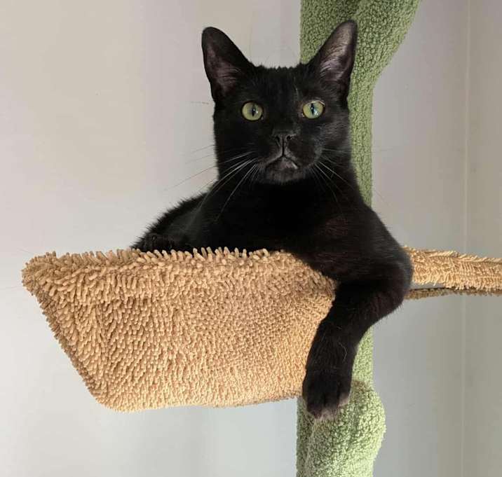 Photo of Wynkin