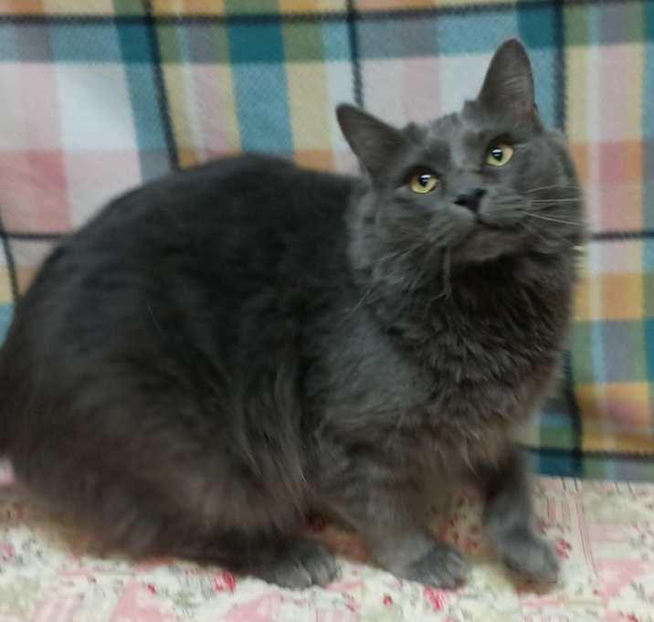 Photo of Clara