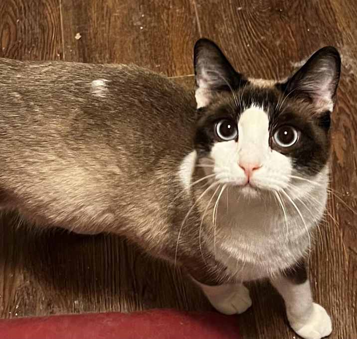 Photo of Nora