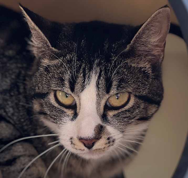 Photo of Holly