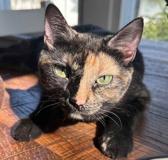 Photo of Chloe