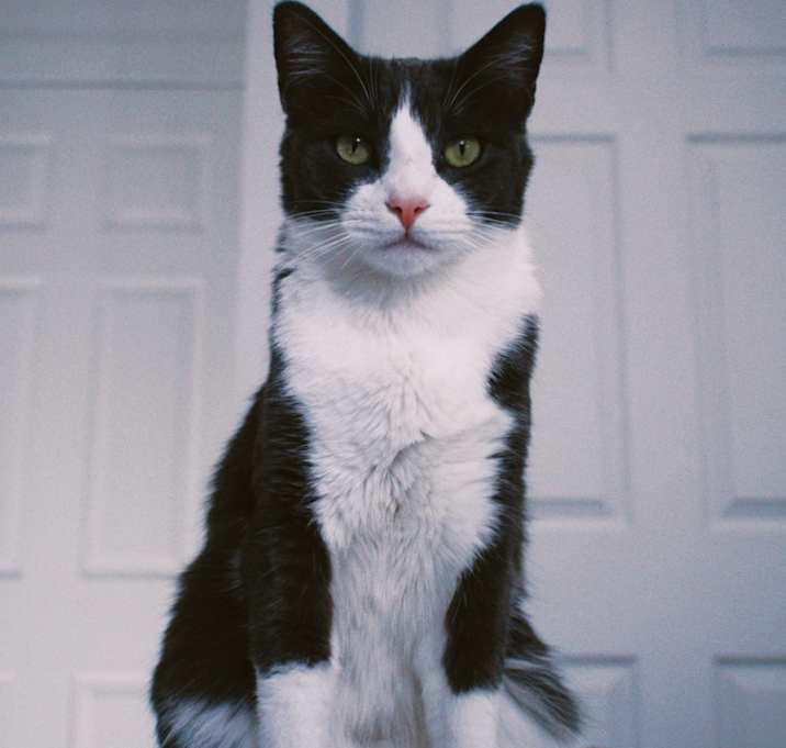 Photo of Blue