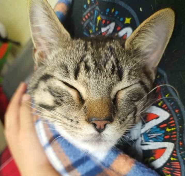Photo of Charlie