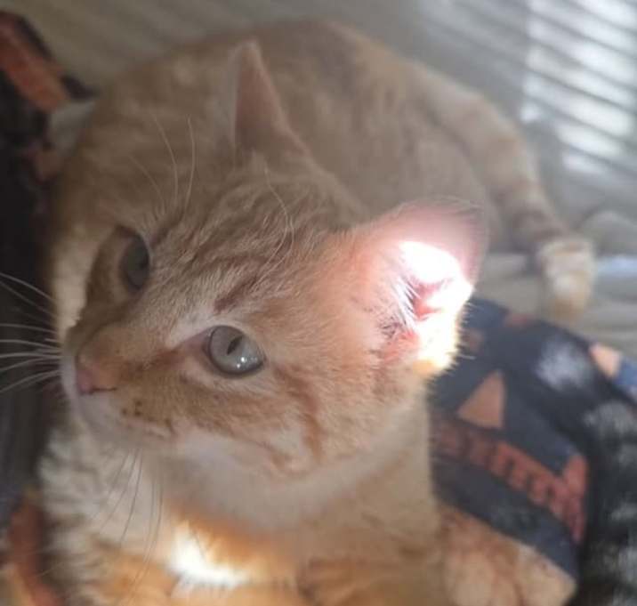 Photo of Dude
