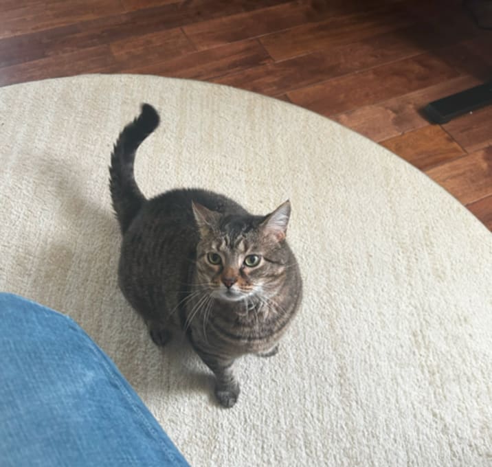 Photo of Remy