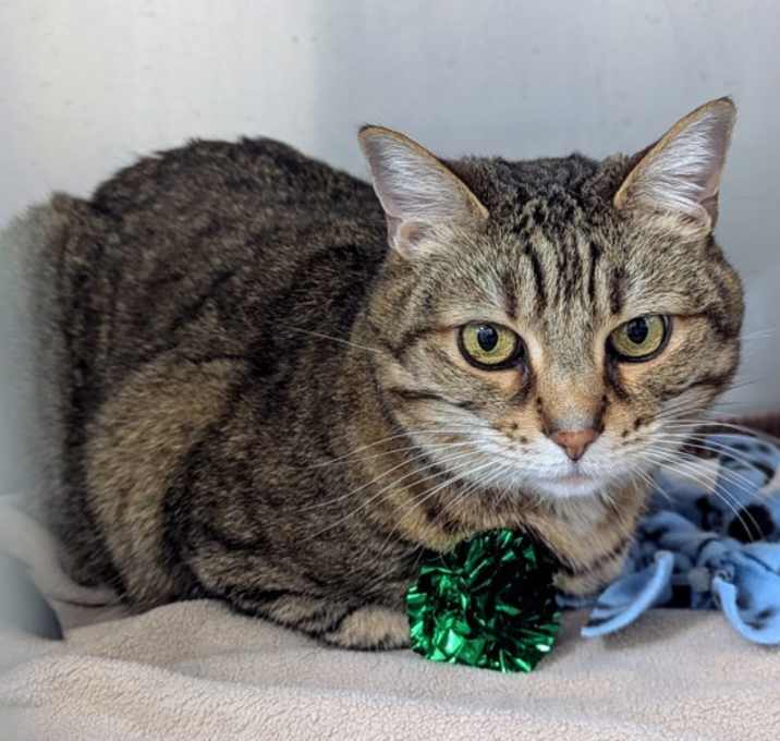 Photo of Twyla