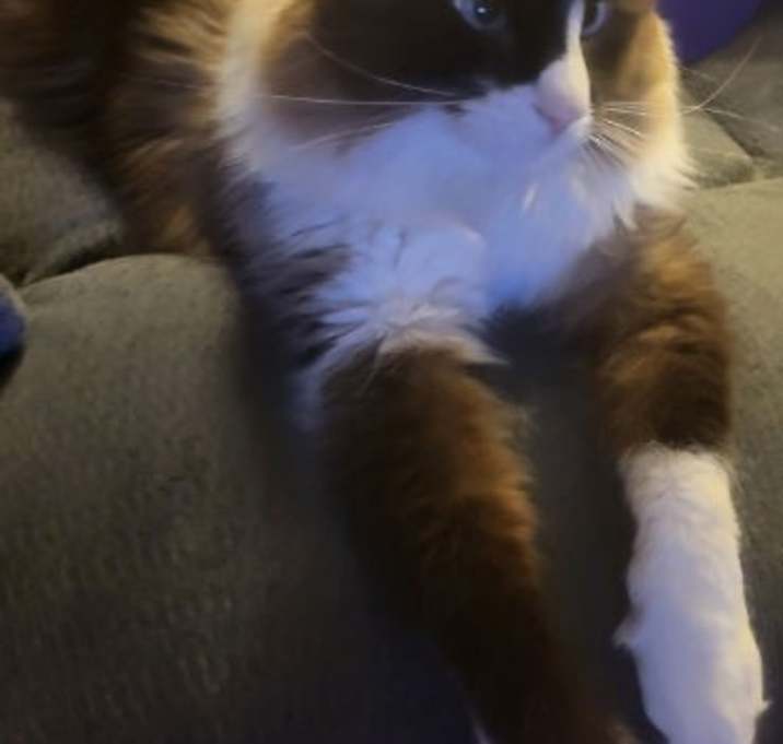 Photo of Sassy