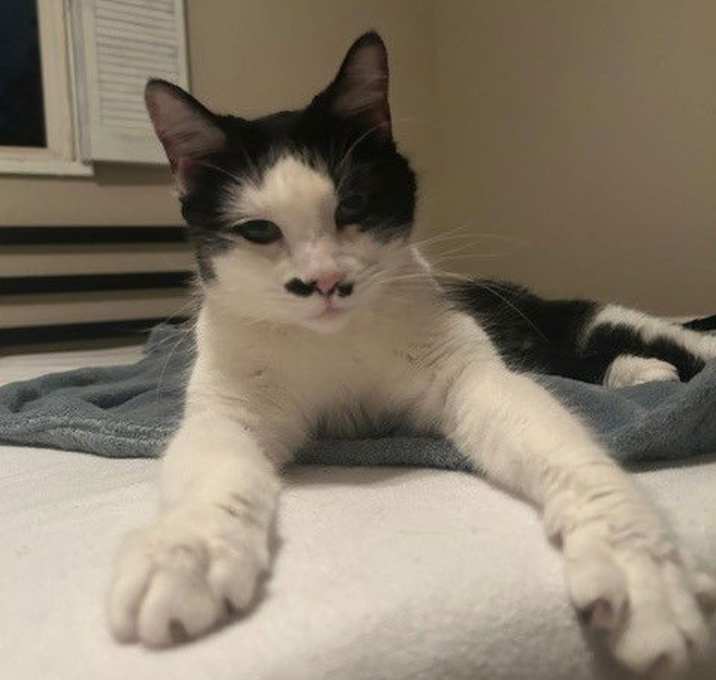 Photo of Nyla