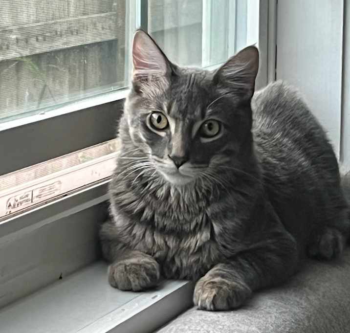 Photo of Cass