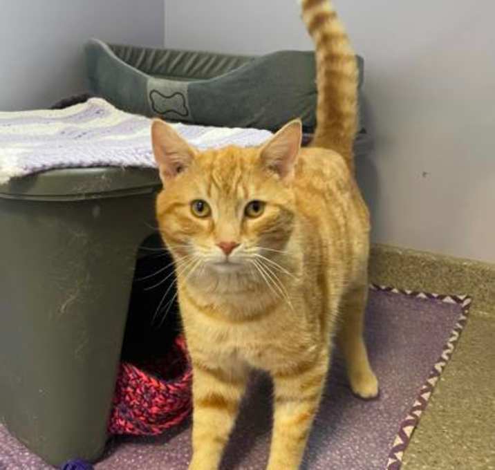Photo of Freed (Bonded with Reed)