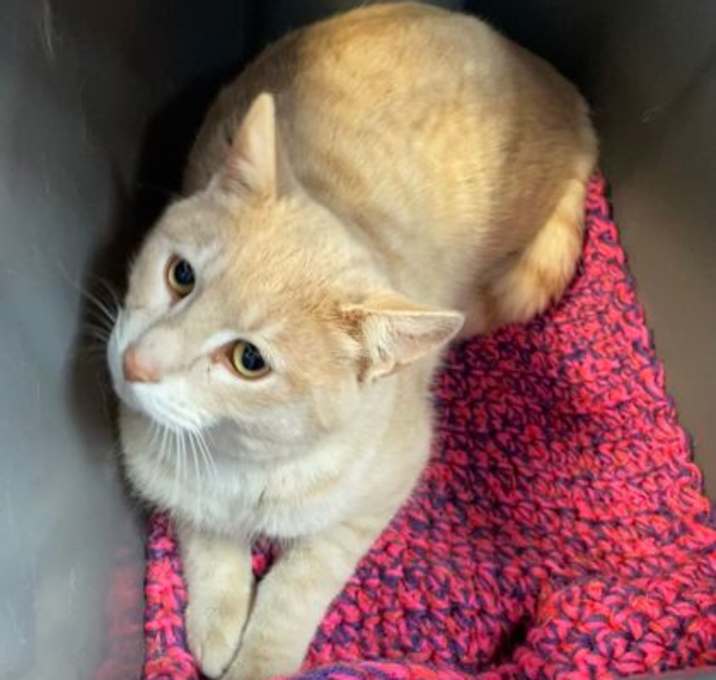 Photo of Reed (Bonded with Freed)