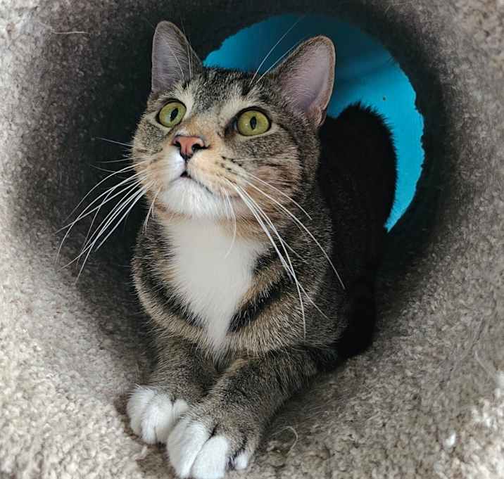 Photo of Colby