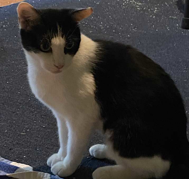 Photo of Molly