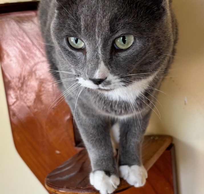 Photo of Smoochie