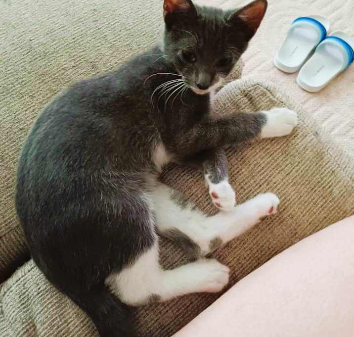 Photo of Bootsy