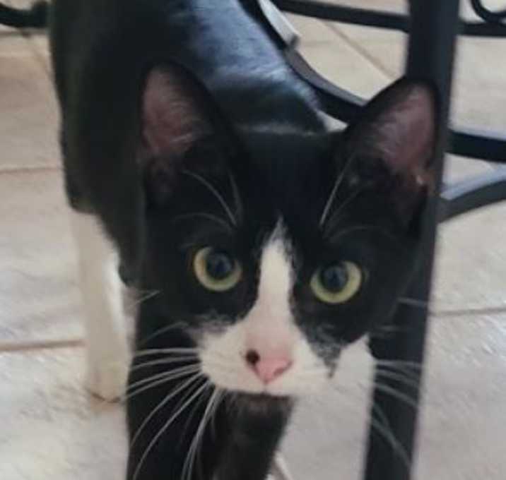 Photo of Nikki