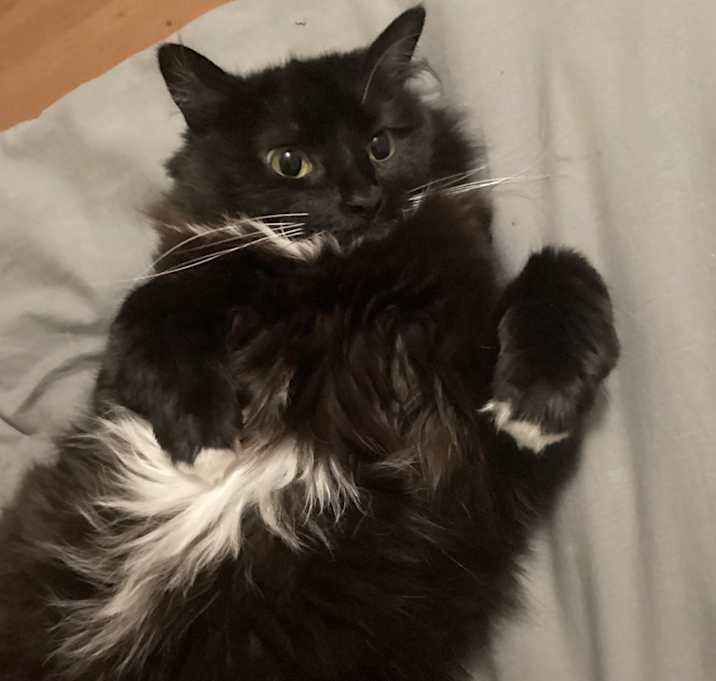 Photo of Bonnie