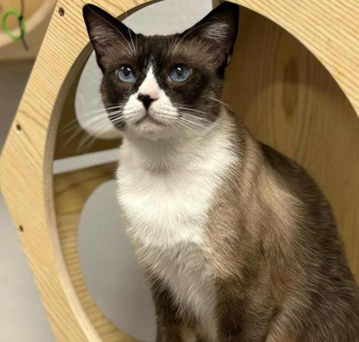 Photo of Blanche 4693