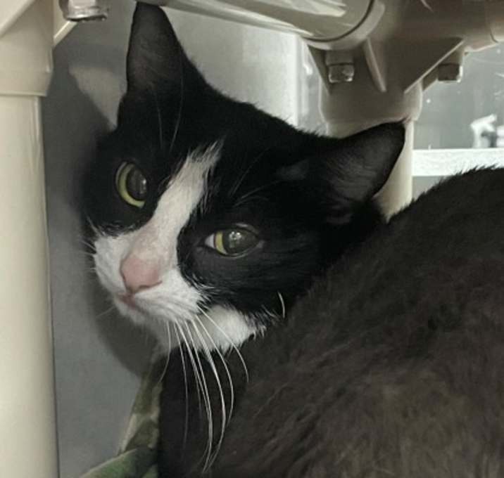 Photo of Ethel