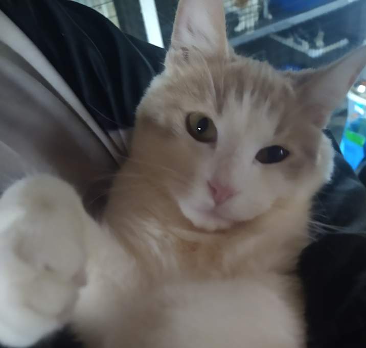 Photo of SPROUT