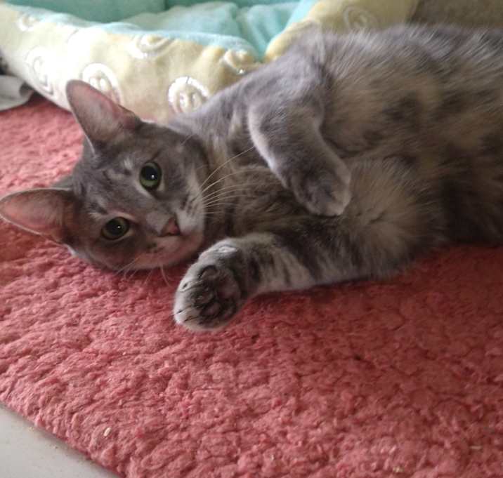 Photo of Mystic