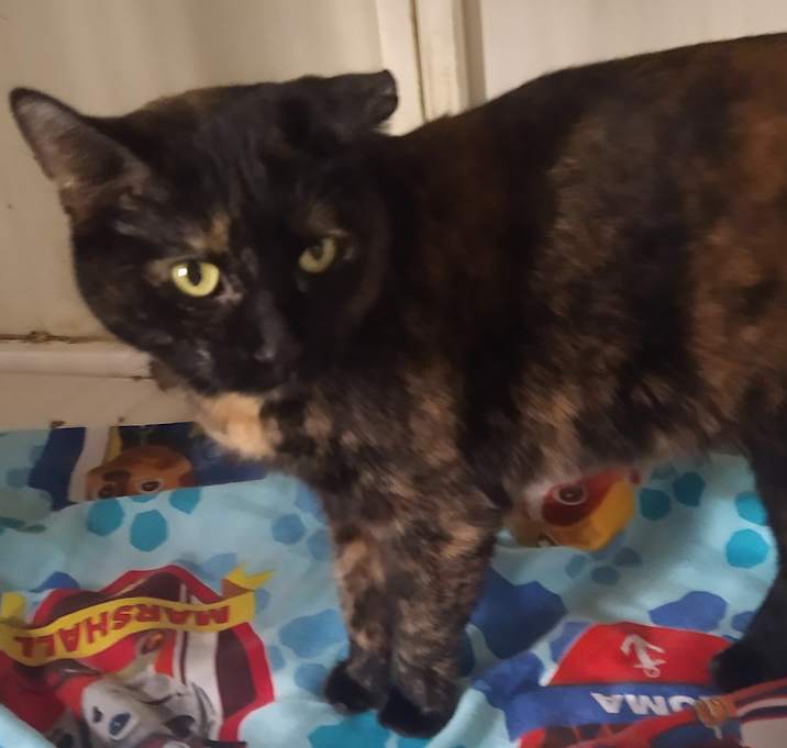 Photo of Lily