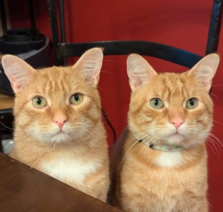Photo of George (with Fred)