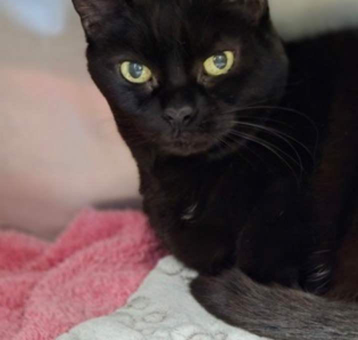 Photo of Darla