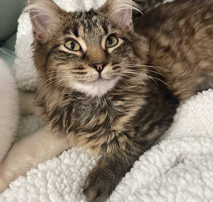 Photo of Kiara