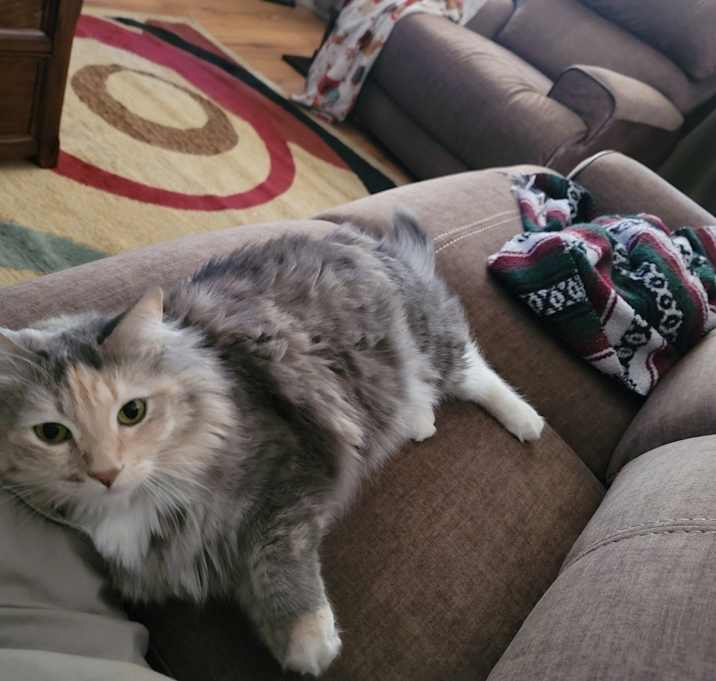 Photo of Azazelle