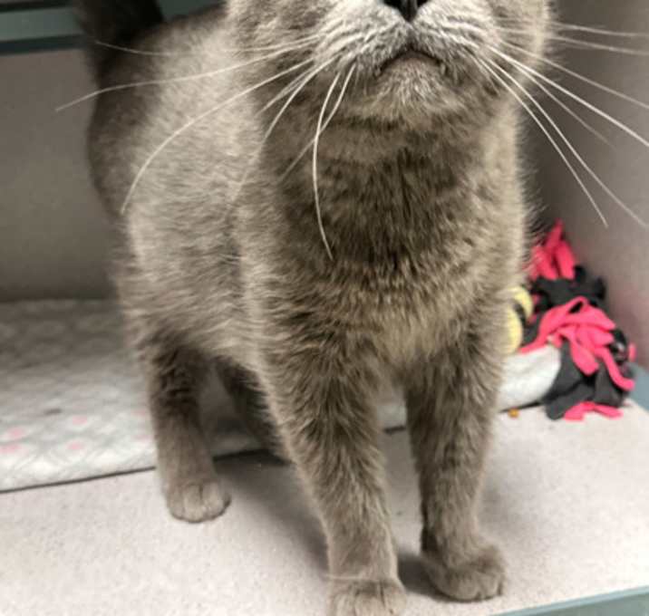 Photo of Kiki