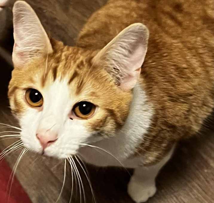 Photo of Monty
