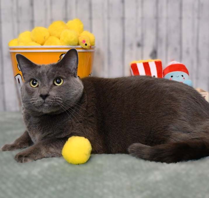 Photo of Eloise
